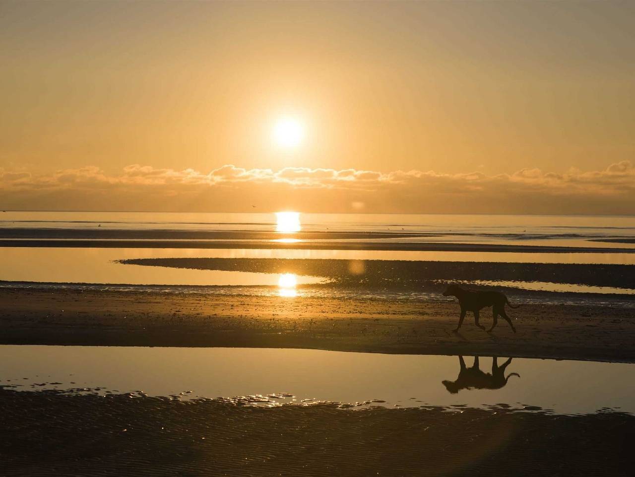 Ganze Ferienwohnung, Haus Nordsee - Haus Nordsee Whg 18 in St. Peter-Bad, St. Peter-Ording
