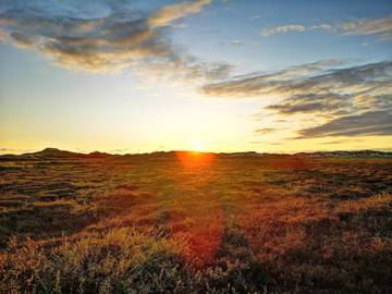 Vakantiehuis voor 5 Personen in Årgab, Holmsland Klit, Afbeelding 4