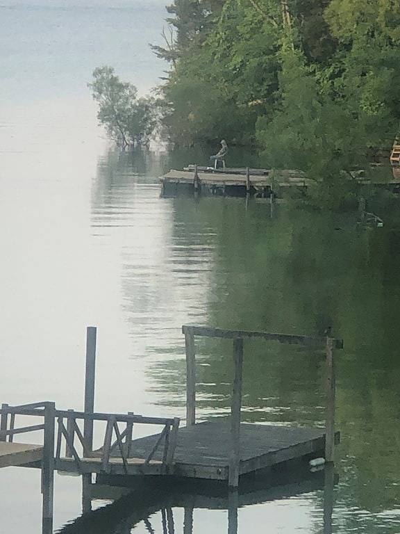 2 Bedroom Lake Front House on Douglas Lake - Private Cove with Amazing Views in Douglas Lake