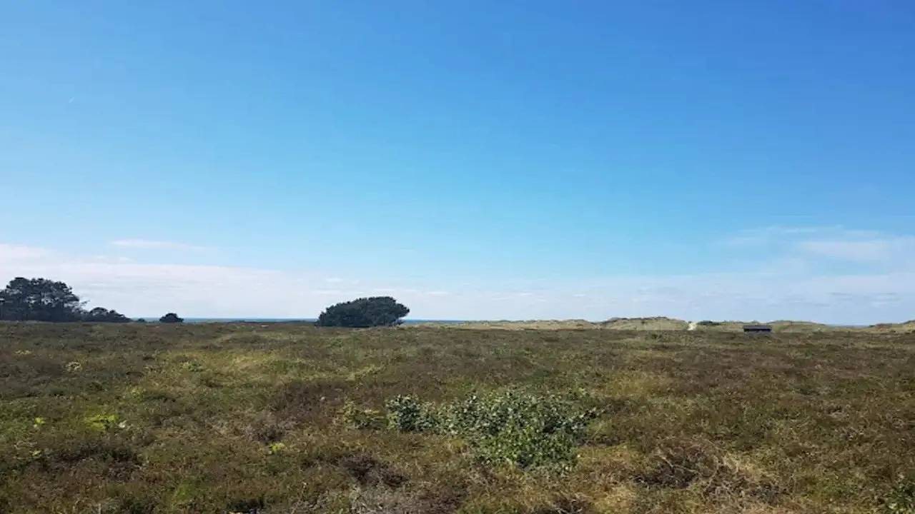 Ferienhaus für 6 Personen (80 m²) in Læsø in Vesterø, Læsø