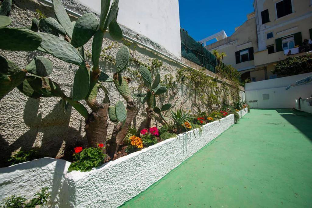 Appartamento intero, Tra centro e mare in Ischia Porto, Ischia Città