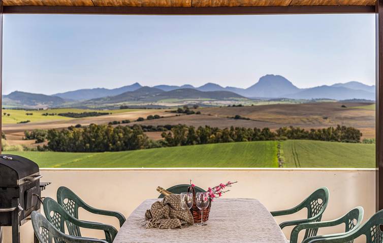 Location de vacances pour 10 personnes, avec terrasse ainsi que piscine et jardin, animaux acceptés à Arcos de la Frontera - 4