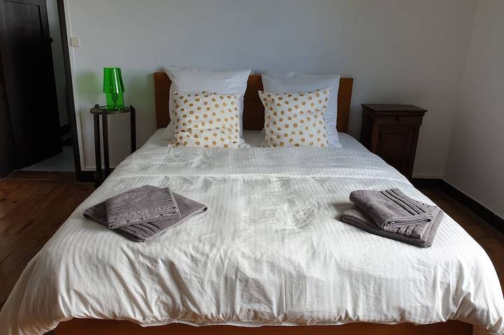 Villa pour 12 personnes, avec jardin et balcon, animaux acceptés dans Pyla-sur-Mer - 4