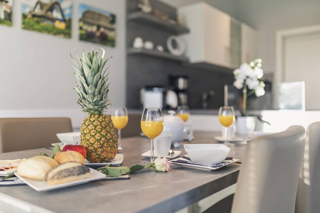 Ganze Wohnung, Ferienwohnung Boddentraum in Zingst zwischen Ostsee und Natur in Müggenburg, Zingst