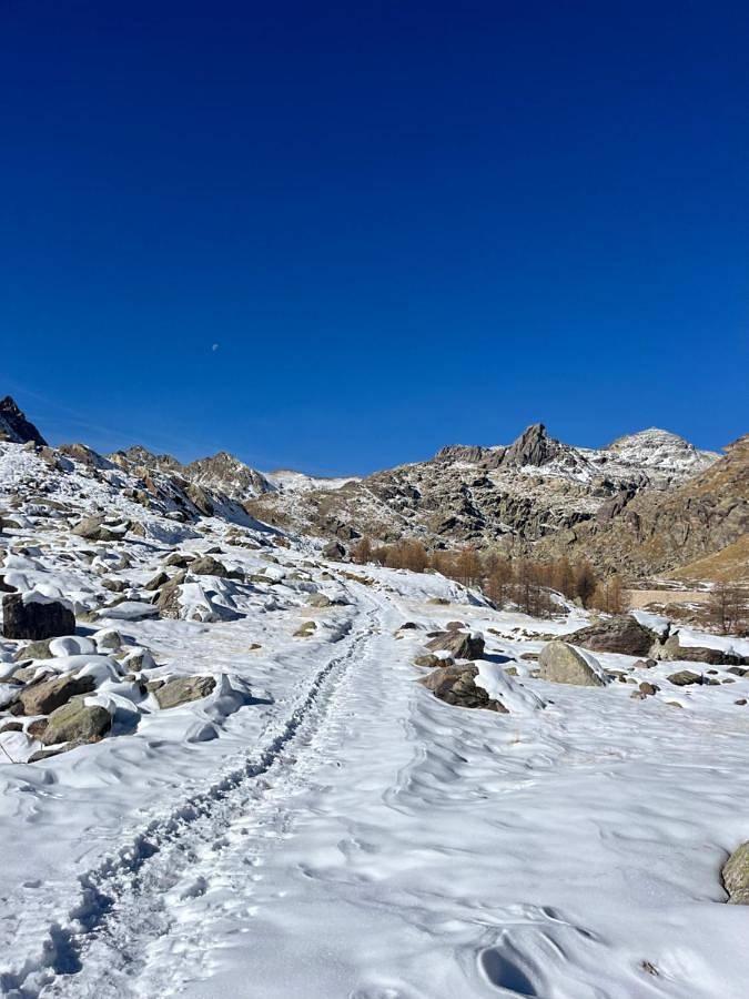 Hôtel pour 3 personnes, avec jardin et terrasse à Tende - 3