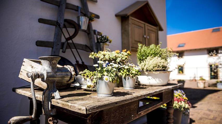 Ferienwohnung für 4 Personen, mit Garten in Wadern - 4