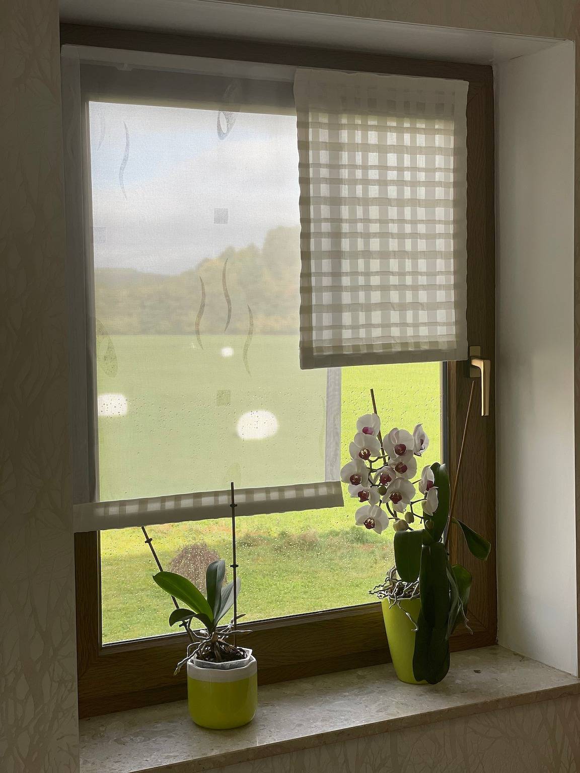 Ganze Ferienwohnung, Ferienwohnung Werner in Wasungen, Werratal