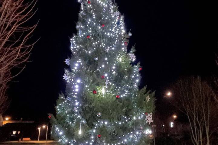Ferienwohnung für 3 Personen, mit Garten