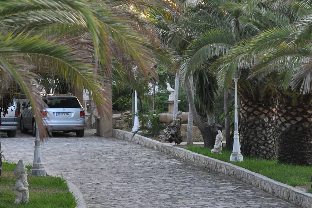 La Cochera, in de palm tuin, ideaal in de winter en de zomer in Terres de l'Ebre, Costa Dorada
