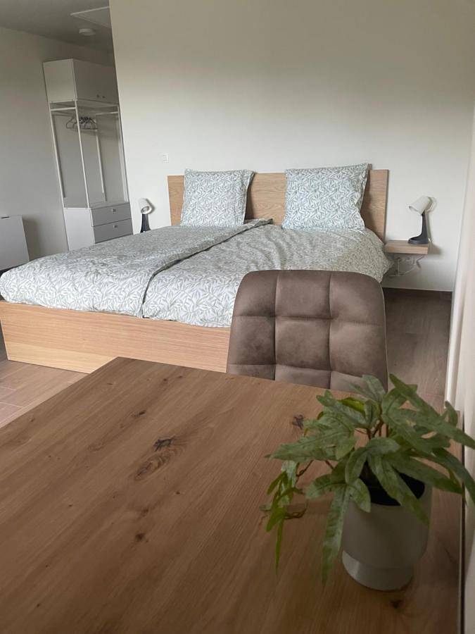 Chambre d’hôte pour 5 personnes, avec vue ainsi que jardin et terrasse, animaux acceptés à Vielsalm - 2