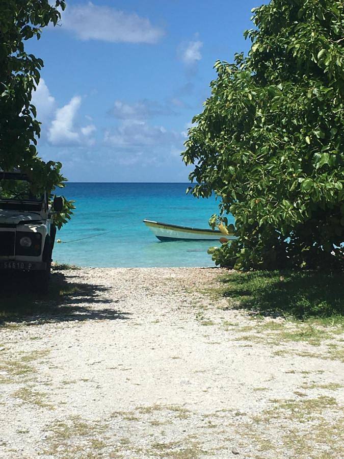 Location de vacances pour 2 personnes, avec vue ainsi que terrasse et jardin dans Rangiroa - 4