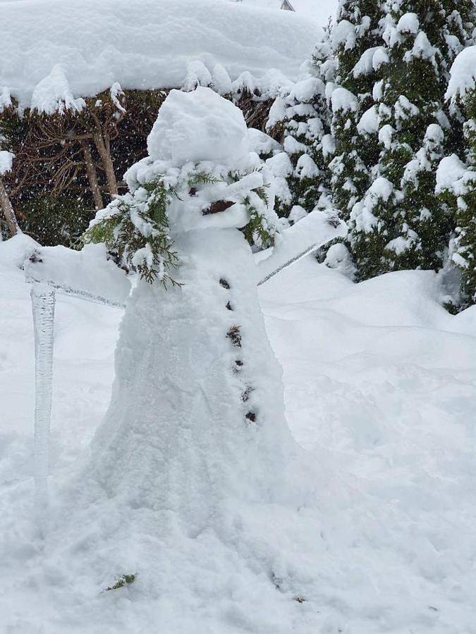 Gîte pour 4 personnes, avec jardin et vue à Métabief - 2