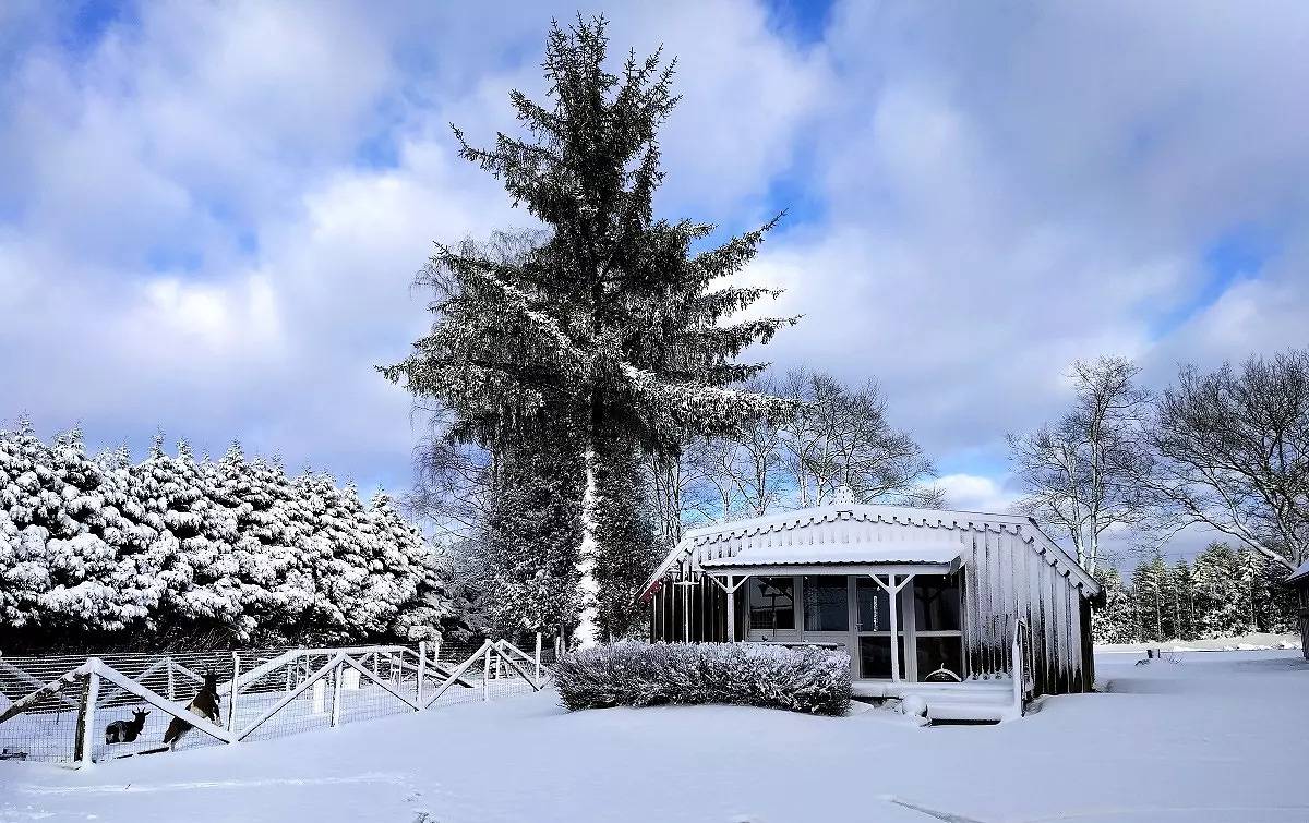 2-Zimmer-Gîte für 4/5 Personen in Plombières-les-Bains, Regionaler Naturpark Belchen der Vogesen