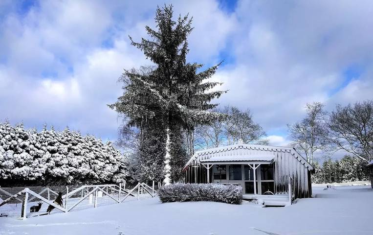 Gîte für 4 Personen, mit Terrasse, mit Haustier in Grand Est - 3