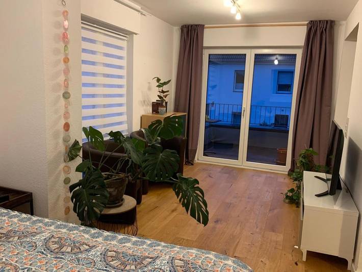 Ferienwohnung für 4 Personen, mit Balkon in Münster - 2