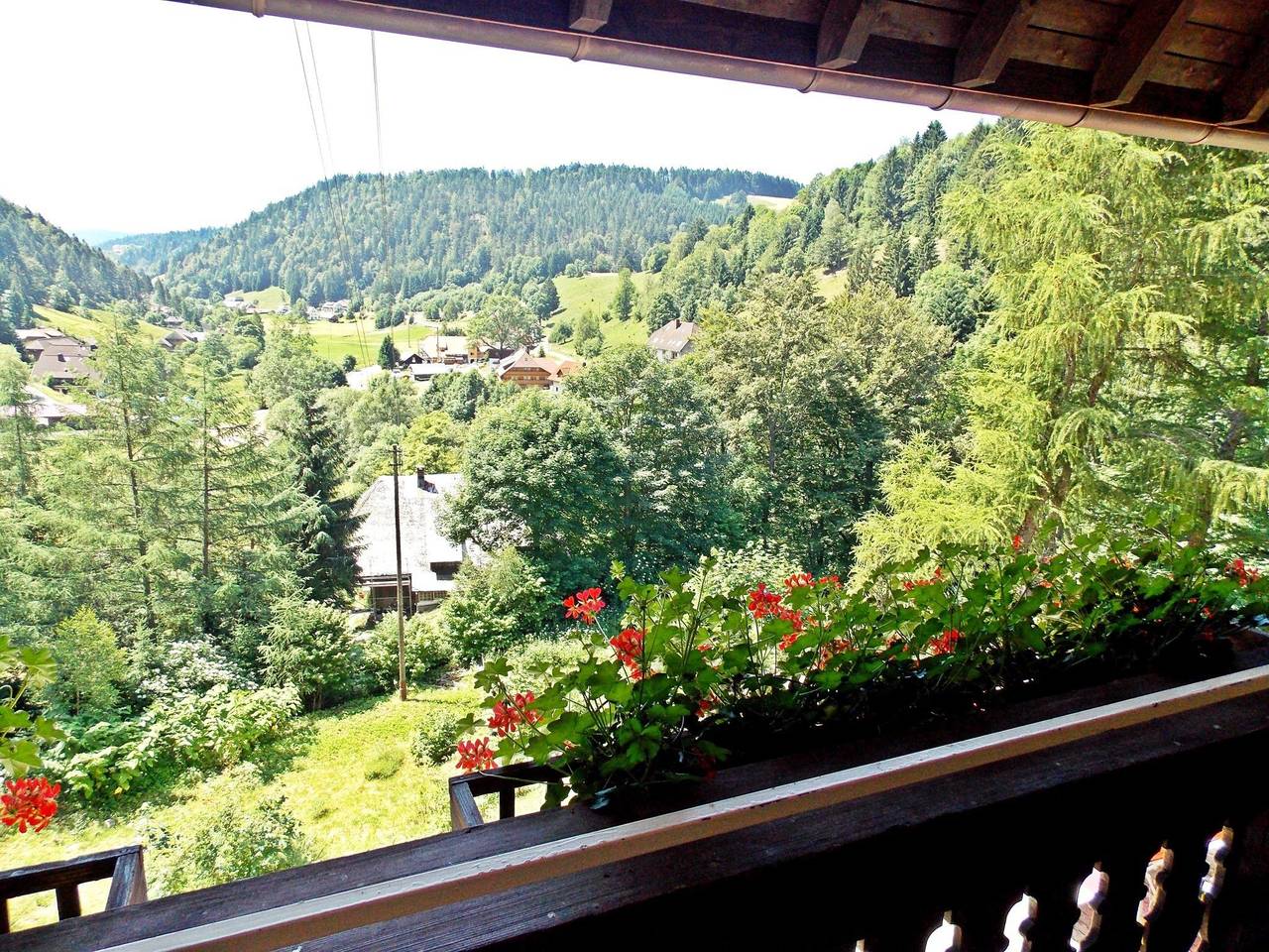 Ferienwohnung mit Talblick in Todtmoos in Todtmoos, Südschwarzwald
