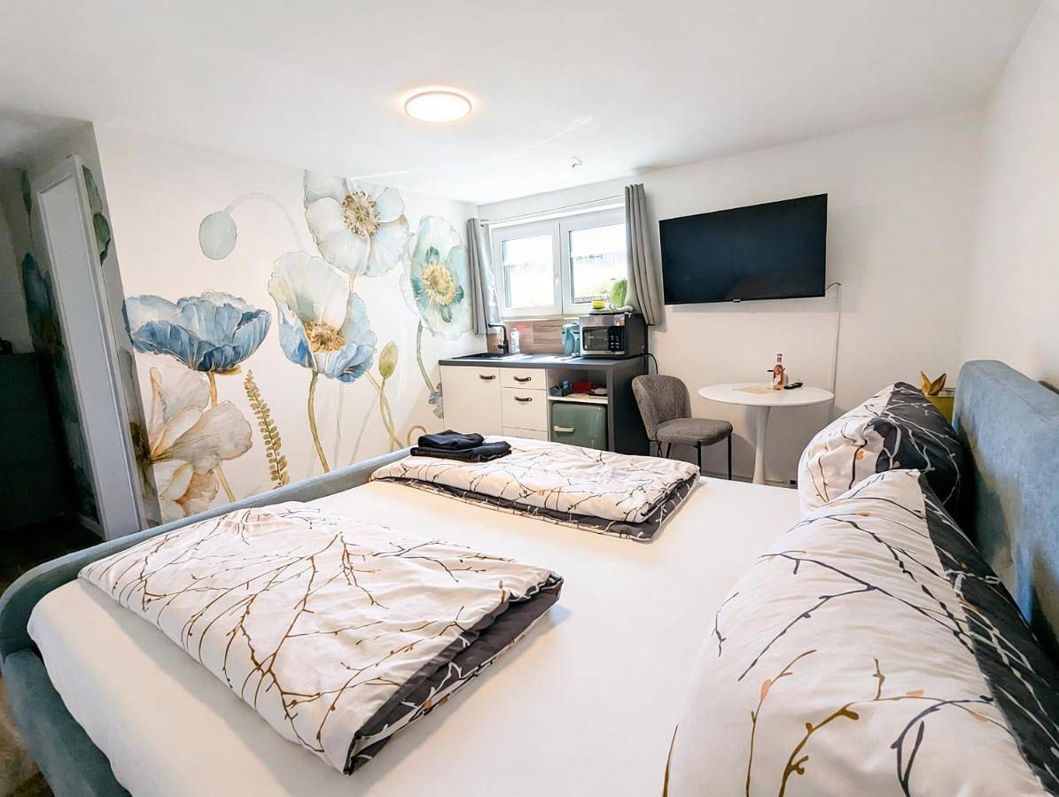 Ganze Wohnung, Rhein Apartments - Turquoise Studio in Küssaberg, Landkreis Waldshut