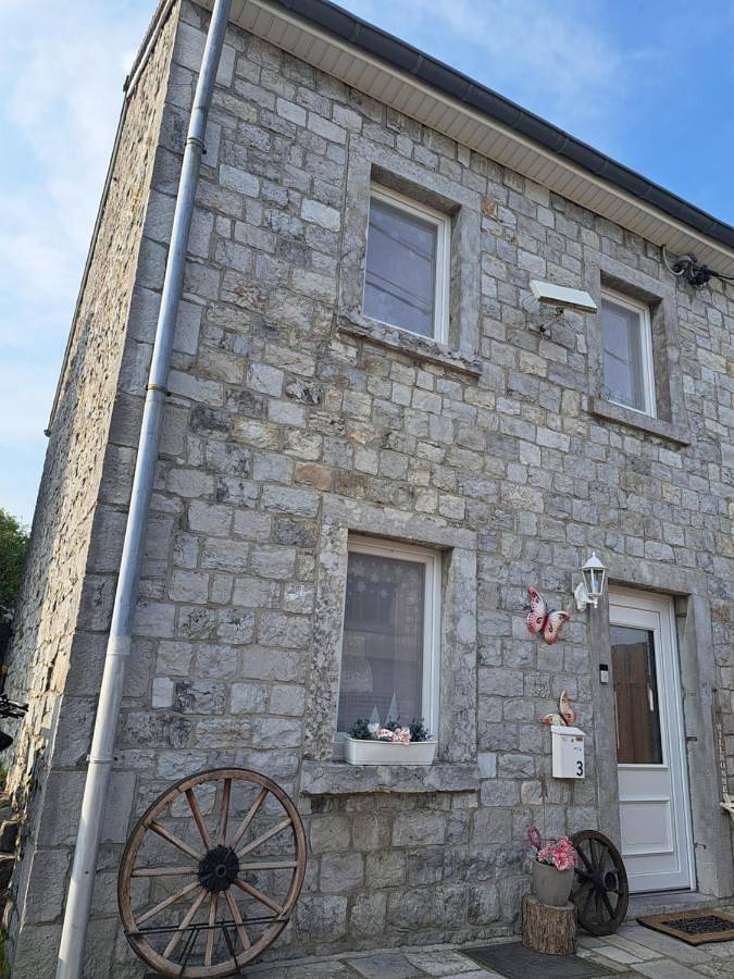 Gîte pour 4 personnes, avec jardin, animaux acceptés à Raeren - 3