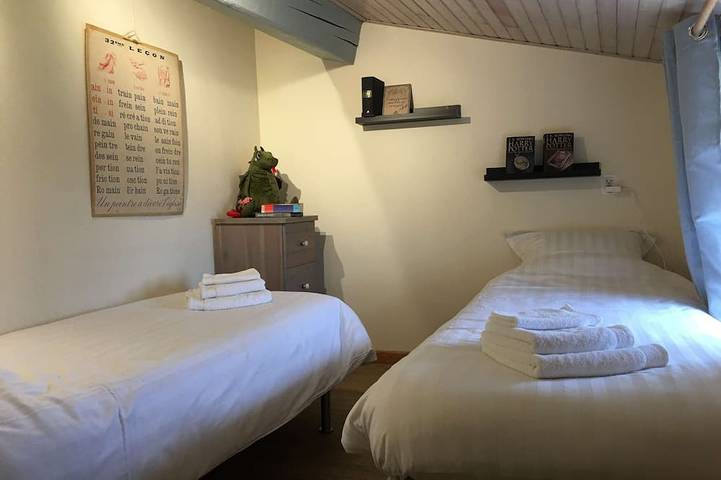 Location de vacances pour 4 personnes, avec terrasse ainsi que jardin et jacuzzi, animaux acceptés à Raissac-sur-Lampy - 3