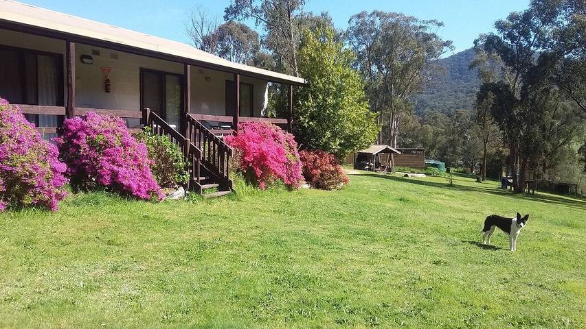 Trehytte for 6 personer, med hage og balkong i Australia