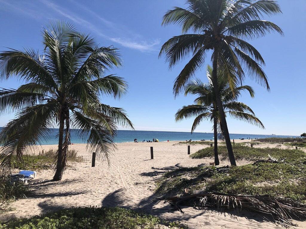 Ganze Wohnung, Strandblock ... Nur ein paar Schritte ... Entspannen Sie sich gegenüber dem Ozean! in Pompano Beach, Broward County