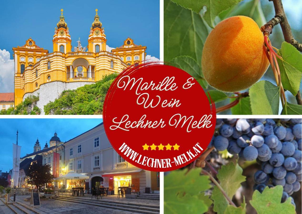 Altstadthaus Marille mit Innenhofterrasse in Melk, Donau Niederösterreich