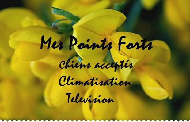 Camping pour 6 personnes, avec terrasse ainsi que jardin et piscine, animaux acceptés à Sigean - 2