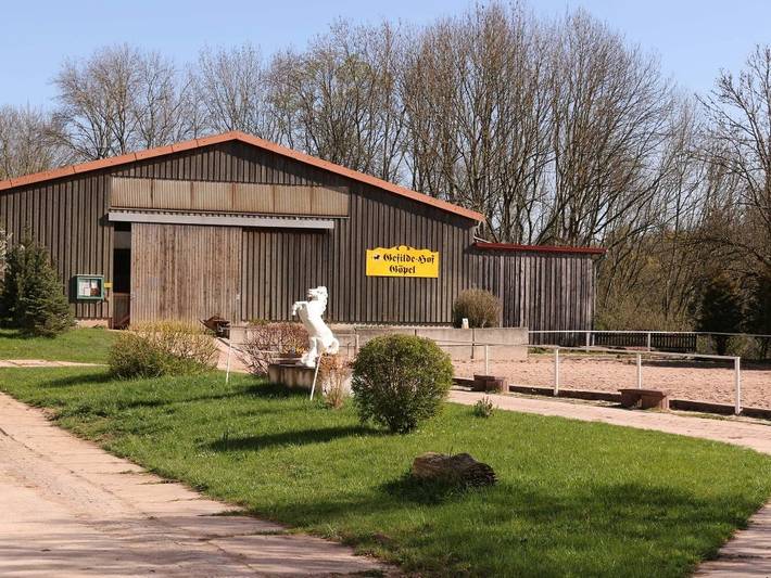 Bauernhof für 4 Personen, mit Garten und Terrasse, kinderfreundlich in Wartburg - 3