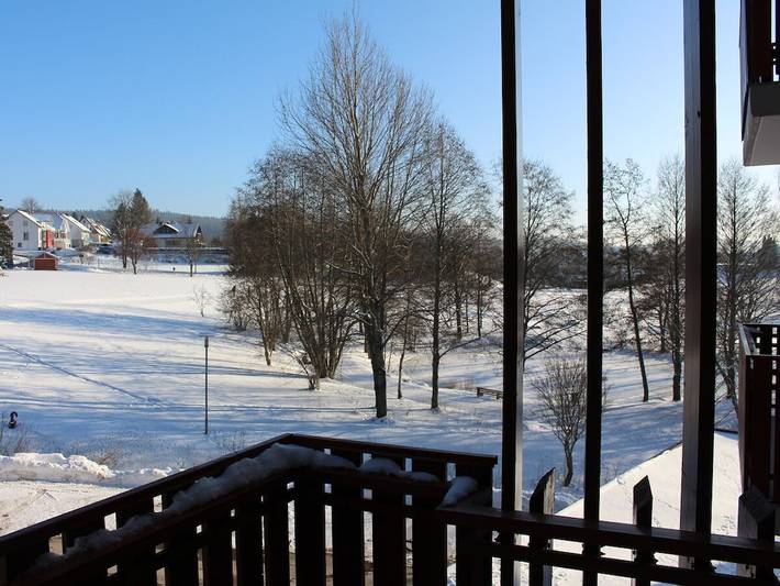 Ferienhaus für 6 Personen, mit Balkon und Sauna, mit Haustier im Schwarzwald - 4