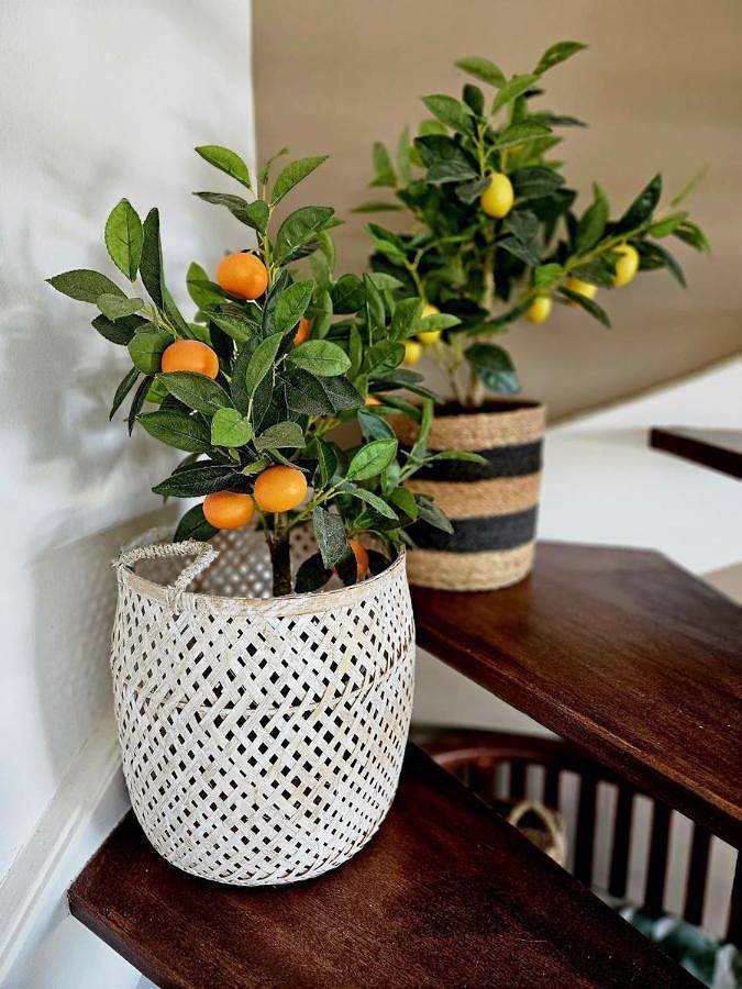 Location de vacances pour 10 personnes, avec piscine et vue ainsi que terrasse et jardin dans Plage de Petit-Havre - 3