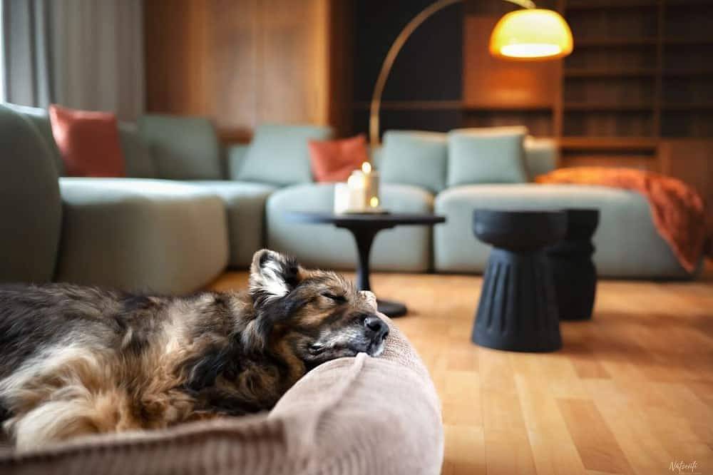 Rückzugsort für besondere Momente & Spa – inmitten eines weitläufigen umzäunten Parks in Rot am See, Hohenlohe