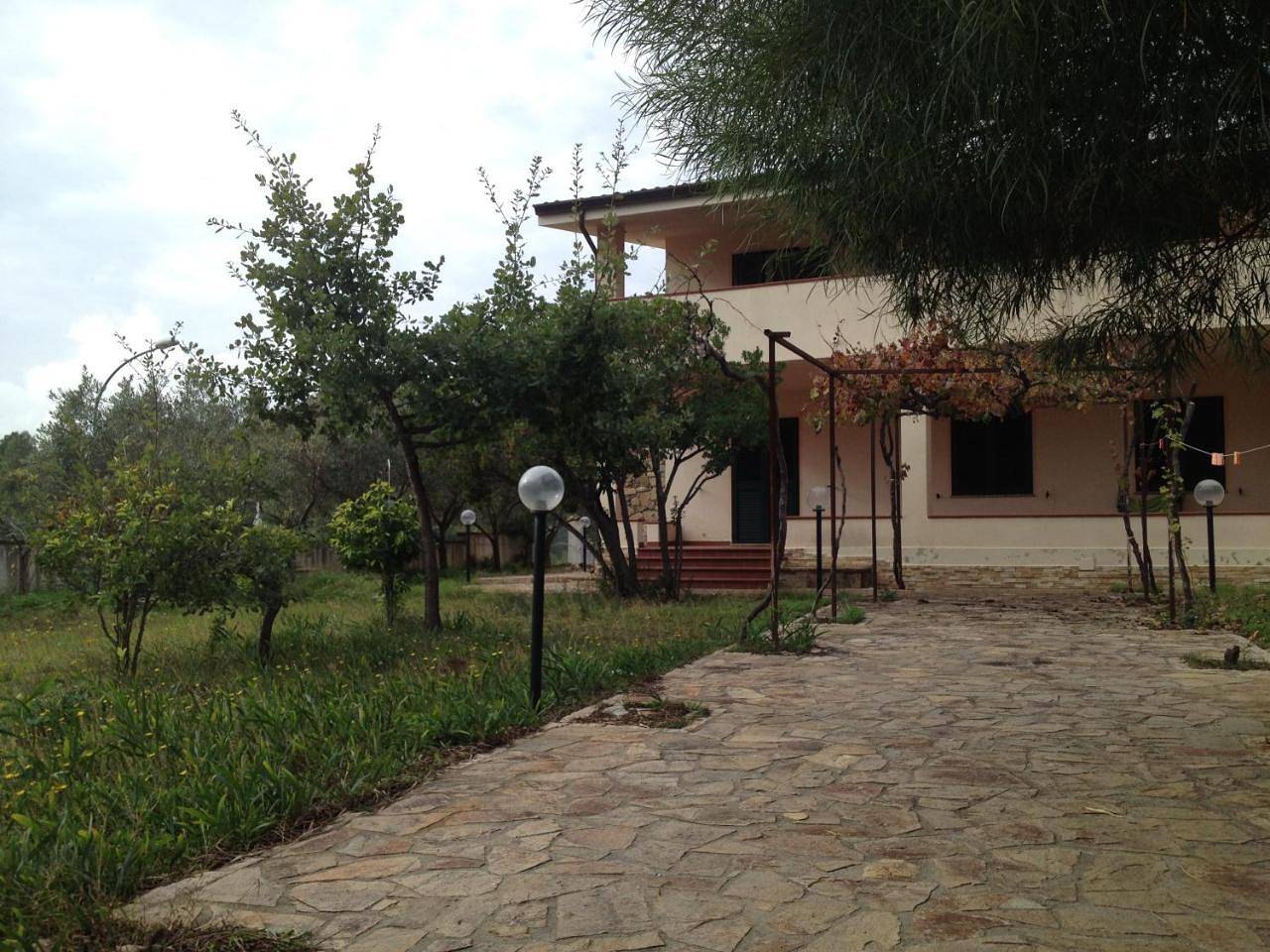 Azalee P2228 in S'ena E Sa Chitta, Siniscola