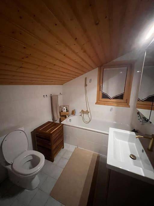 Gîte pour 6 personnes, avec terrasse ainsi que vue et jardin à Chamoson - 4