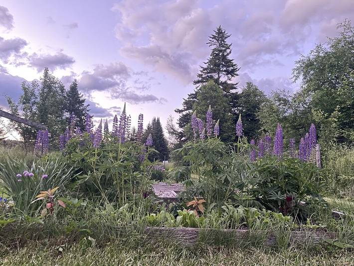 Log cabin for 6 people, with garden in Vermont