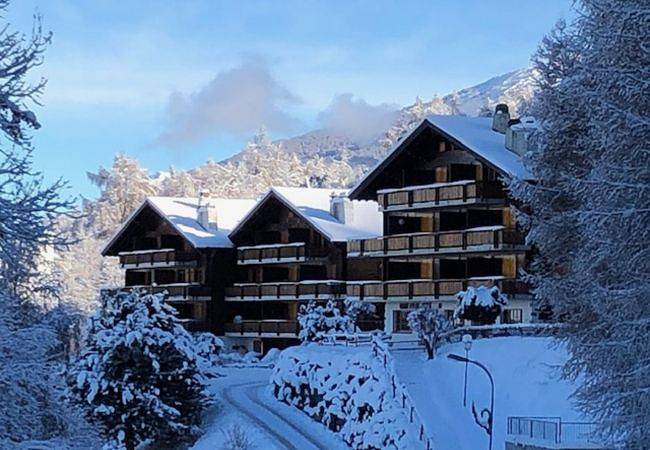 Ganze Ferienwohnung, Les Mayens de l'Ours - 4 Vallées in Les Agettes, Walliser Alpen