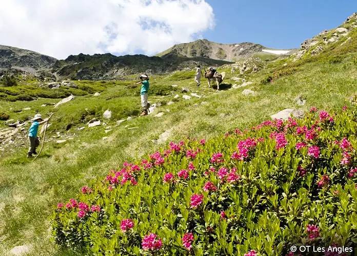 Appartement entier, Appartement  1 pièce 2 personnes in Les Angles, Parc naturel régional des Pyrénées catalanes