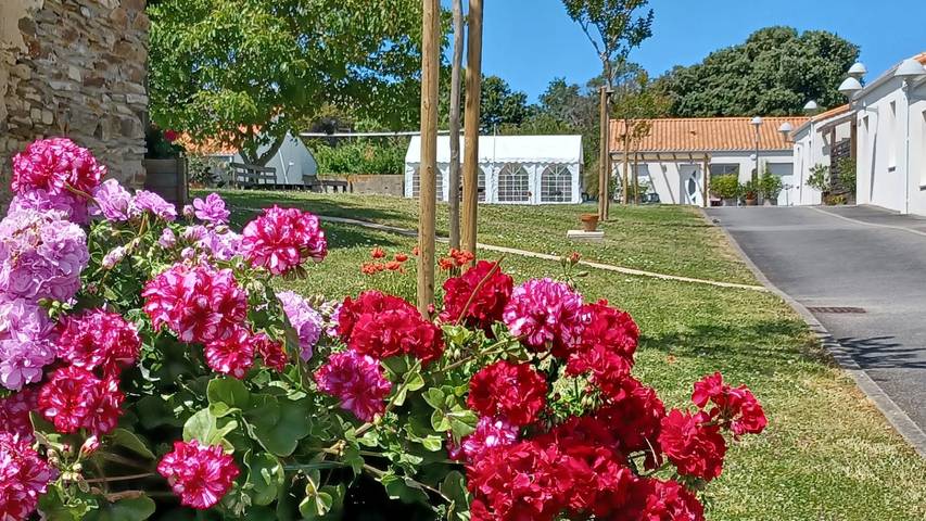 Gîte pour 8 personnes, avec terrasse ainsi que piscine et jardin