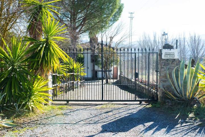 Gîte pour 2 personnes, avec piscine ainsi que jardin et vue, animaux acceptés à Ronda - 3