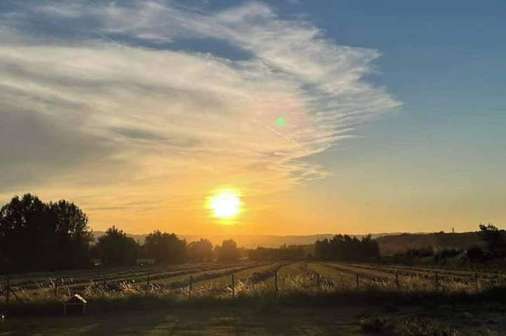 Location de vacances pour 12 personnes à Montmeyran