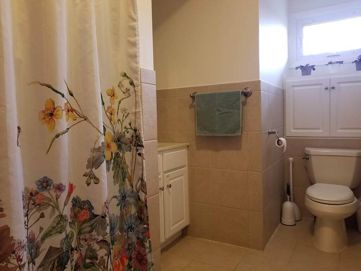 Vacation rental for 8 people, with yard and terrace in Keuka Lake