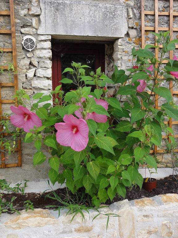 Domaine Le Clos de la Touche - Suite familiale deux grands lits doubles in Chaunay, Vienne (France)