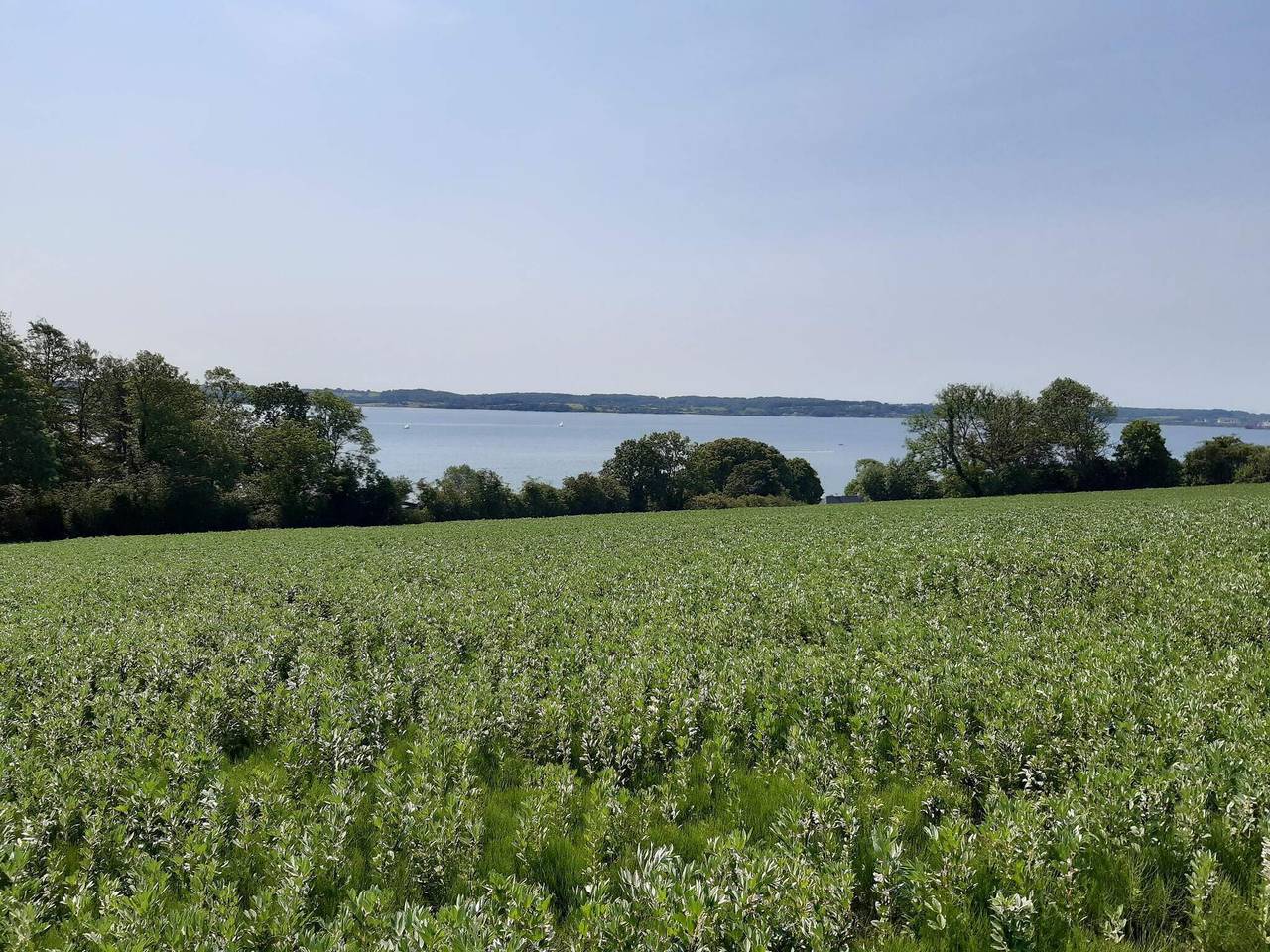 4 Personen Ferienhaus in Aabenraa-By Traum in Skarrev, Apenrade