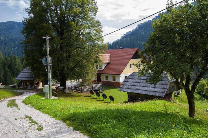 Gîte pour 4 personnes, avec jardin et vue, animaux acceptés à Solčava - 3