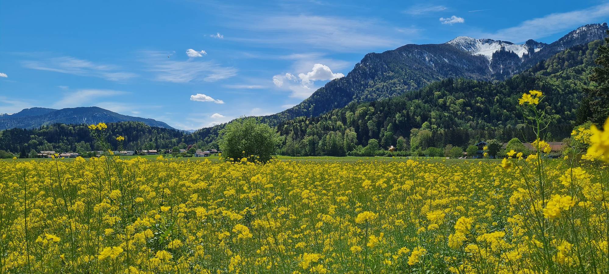 Apartamento vacacional entero, Ferienwohnungen Helga Roßbach - holiday flat in Grassau, Lago Chiem