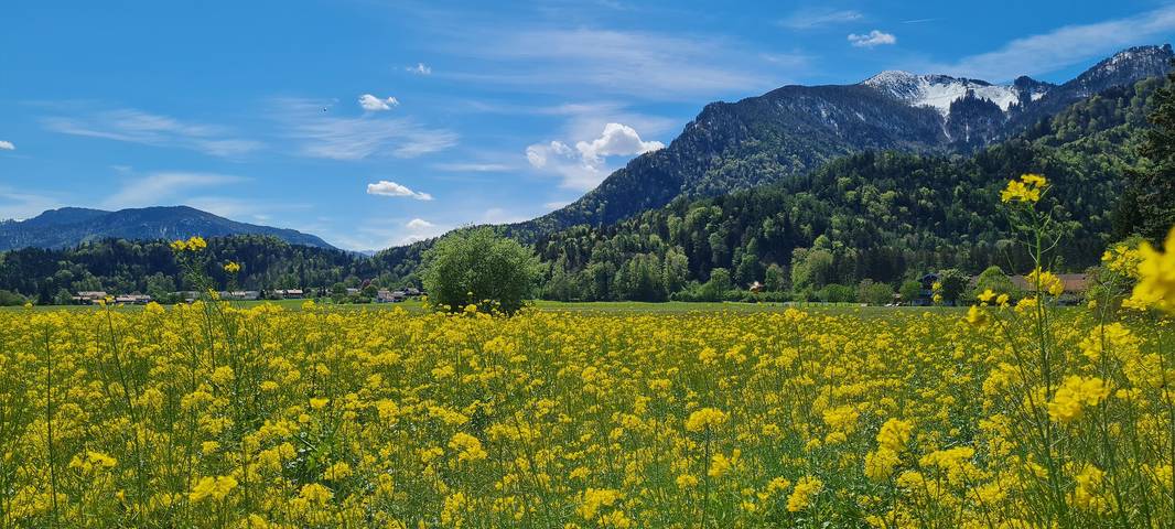 Ferienwohnung für 2 Personen, mit Balkon und Terrasse sowie Garten im Chiemgau - 4