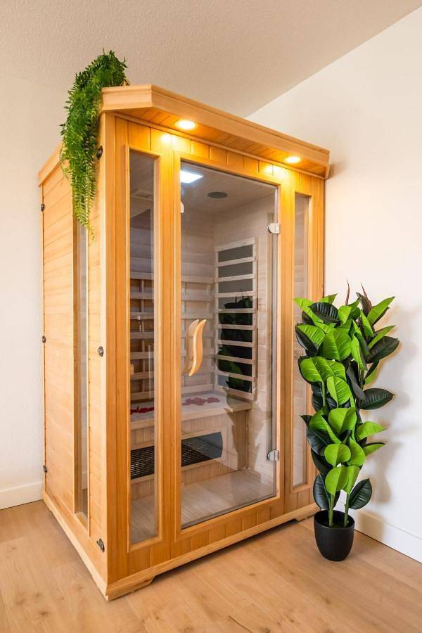 Gîte pour 6 personnes, avec balcon et jacuzzi ainsi que sauna et piscine à Cugnaux - 4