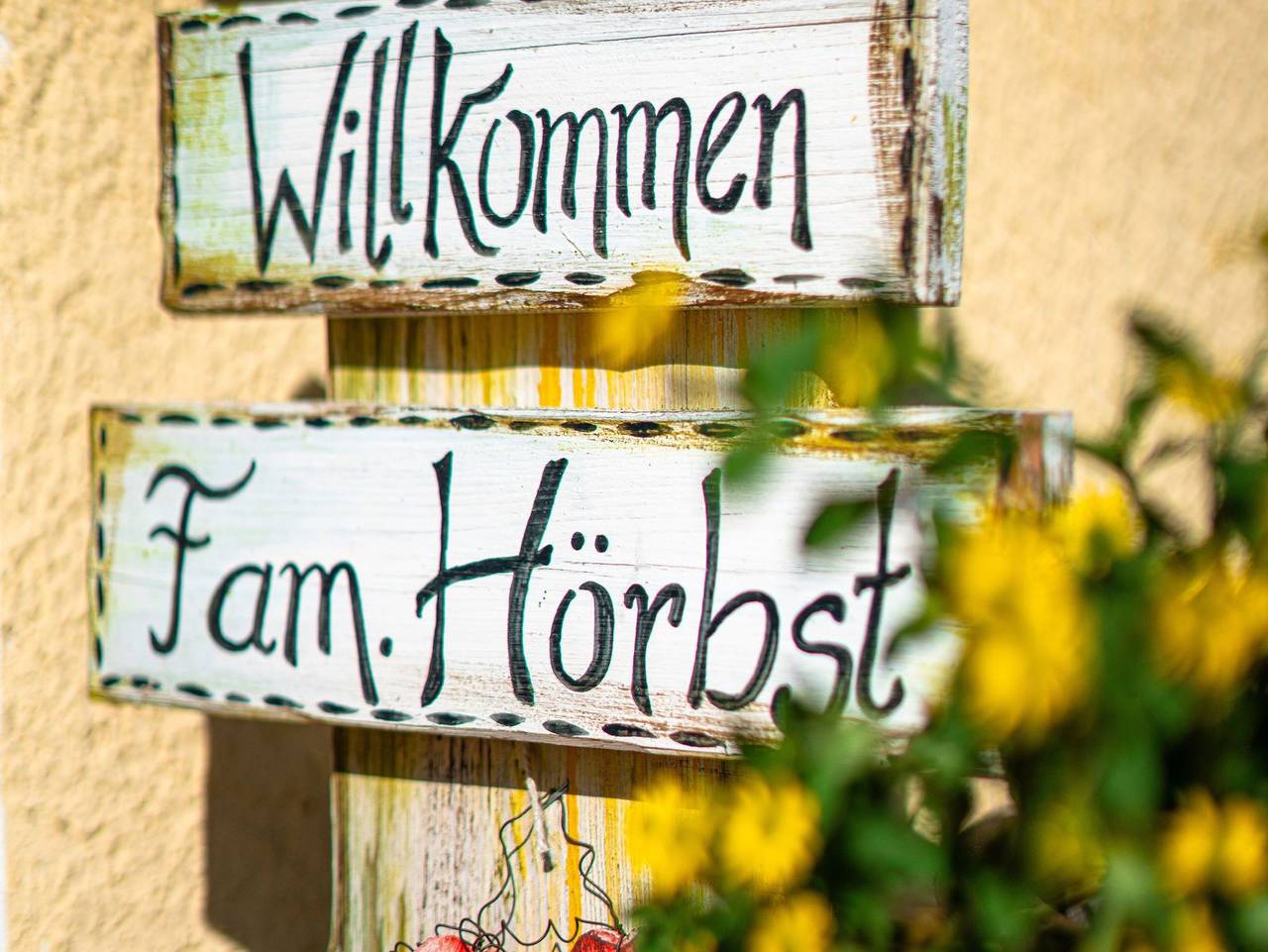 Ganze Ferienwohnung, Ferienwohnung Sonnenbichl - Ferienwohnung in Schattwald, Allgäuer Alpen (Österreich)