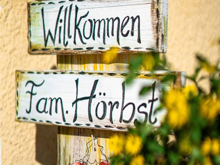 Ferienwohnung für 4 Personen, mit Balkon in Schattwald - 2