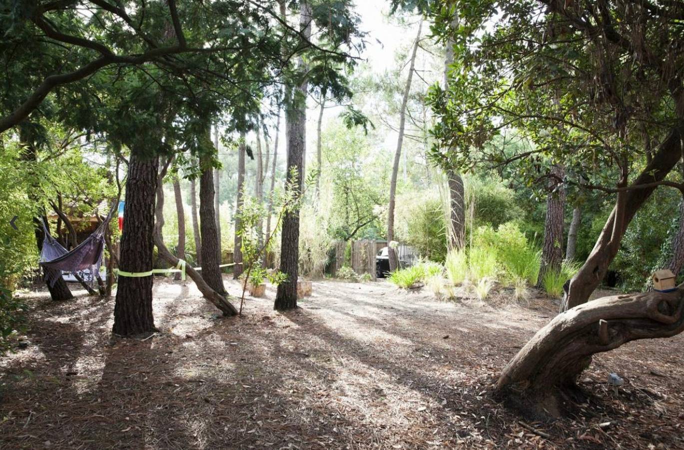 Beautiful Villa at Pointe Cap Ferret in Lège-Cap-Ferret, Arcachon region