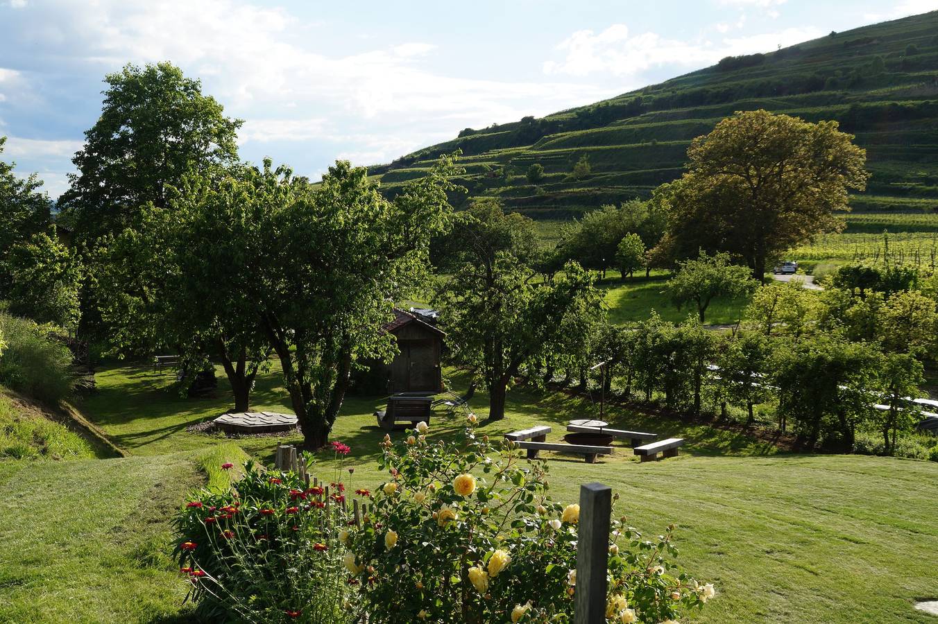 Ganze Ferienwohnung, Maienbrunnenhof - Lenzenberg, 38 qm, 1-2 Personen in Ihringen, Kaiserstuhl